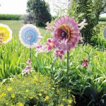 garden plate flowers