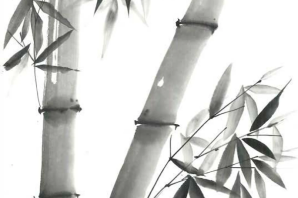 Bamboo - Sumi-e Class