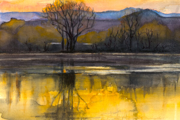 Bosque del Apache, New Mexico - Kathy Miller #1 (1)