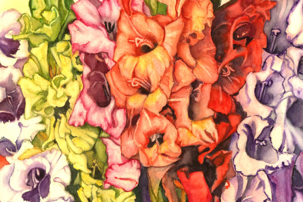 Gladiolas edited Kathy Miller #5 (1)
