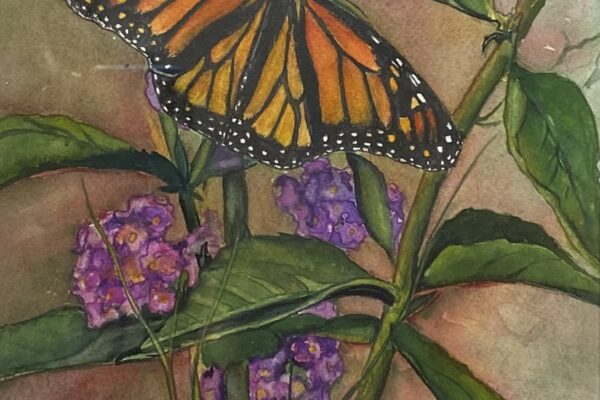Kathy Miller Butterfly