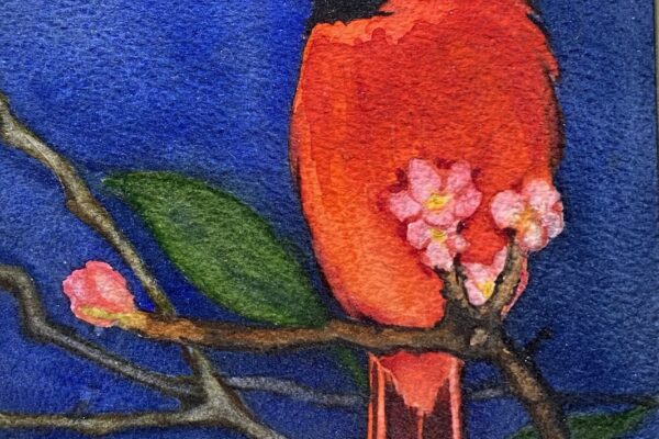 Kathy Miller Cardinal
