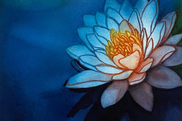 Kathy Miller Water lily