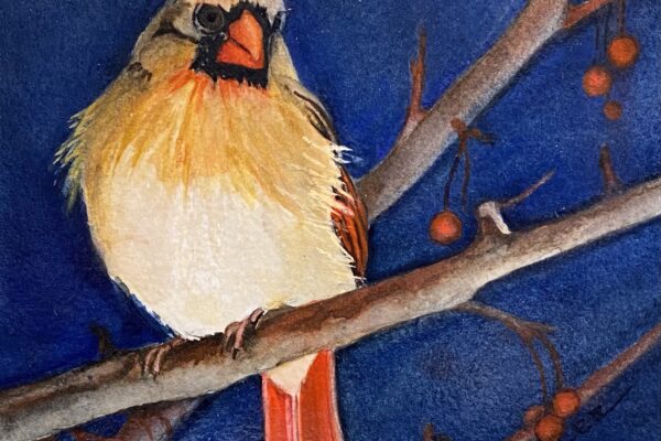 Kathy Miller bird with berries
