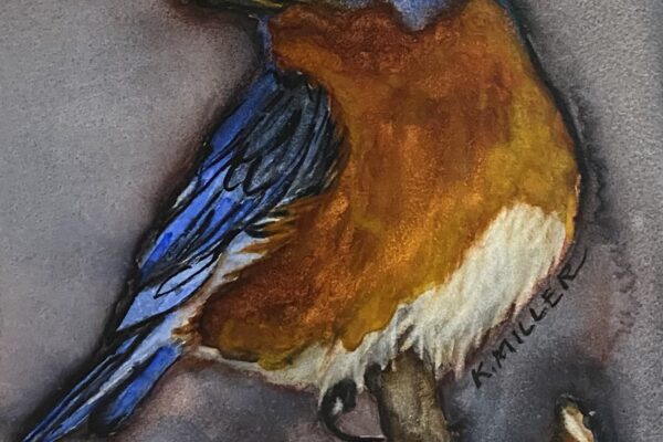 Kathy Miller blue bird