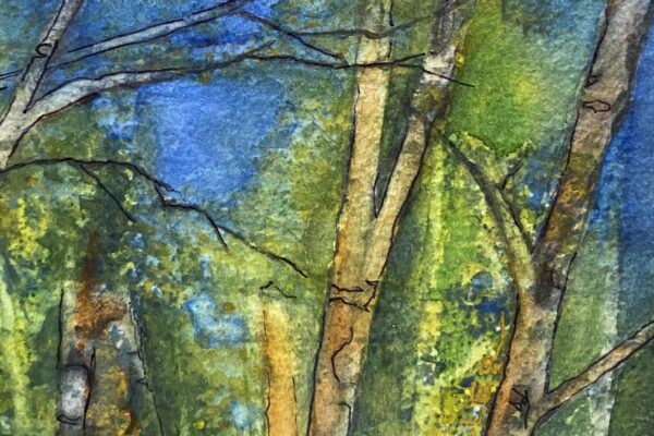Kathy Miller forest #2