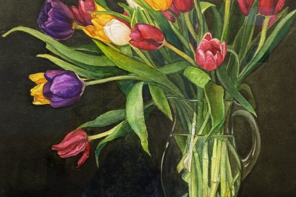 Tulips in a Pitcher