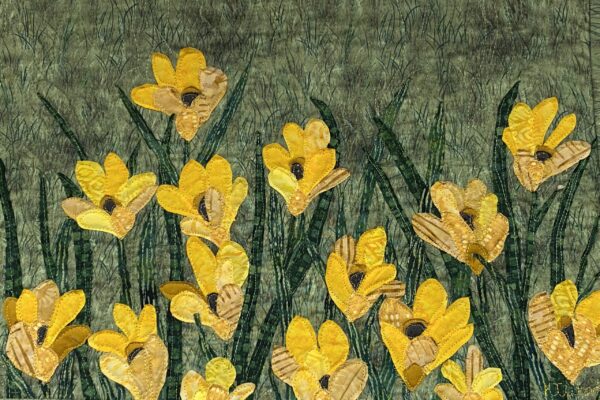 Weed - daffodils